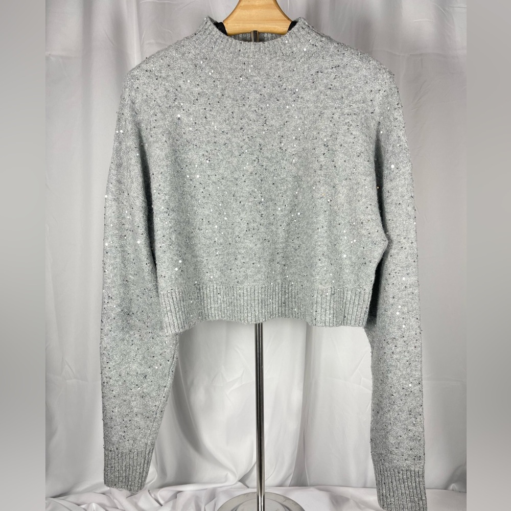 Silver Sparkle Crewneck Cropped Sweater w/ Long Sleeves & sequins. Glamarotti